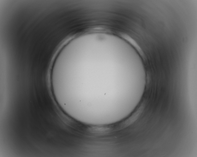 X0000093151474200710031419