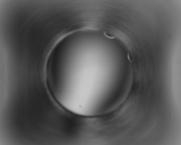 X0000093151479200710031419