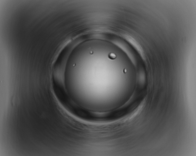 X0000093151481200710031419
