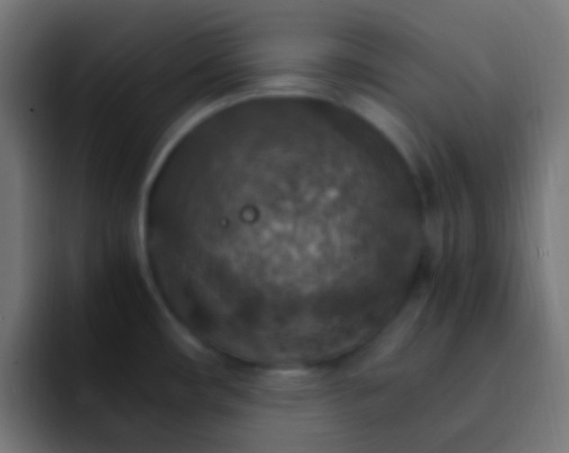 X0000093151482200710031419