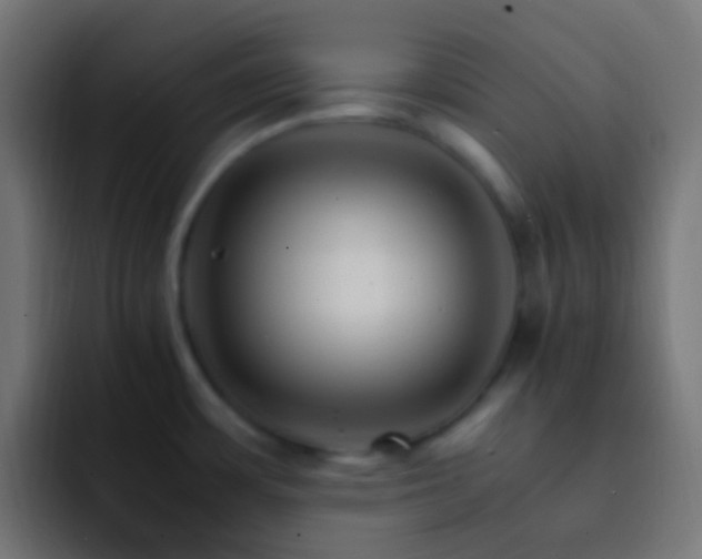 X0000093151483200710031419