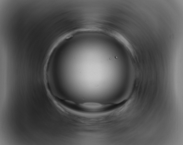 X0000093151485200710031419