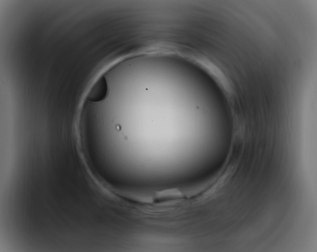 X0000093151486200710031419
