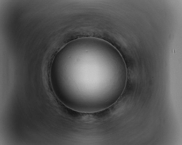 X0000093151489200710031418