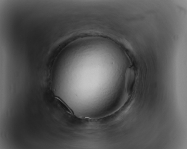 X0000093151494200710031418