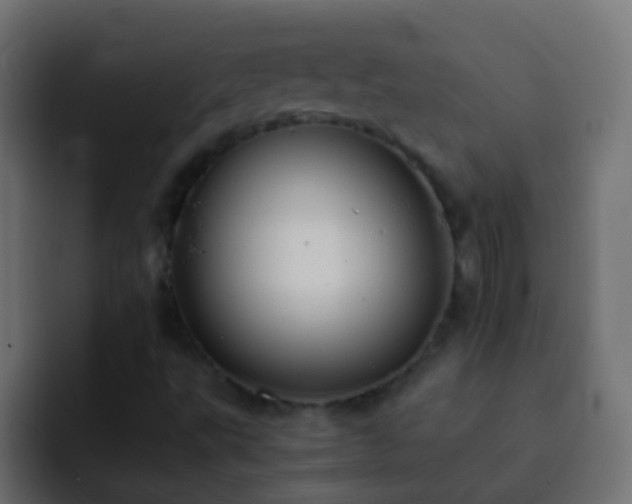 X0000093151495200710031418