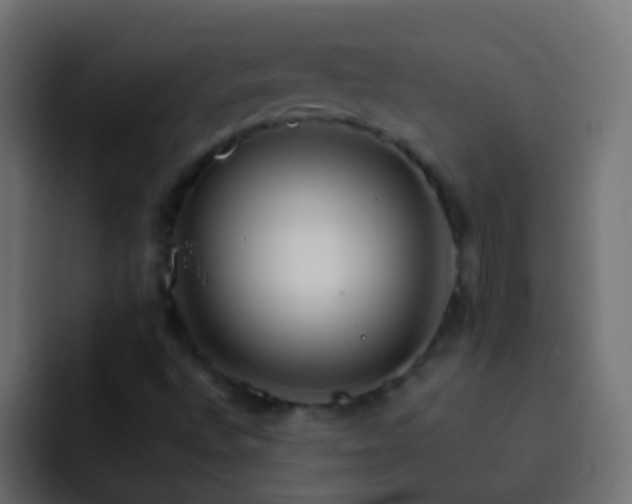 X0000093151496200710031418