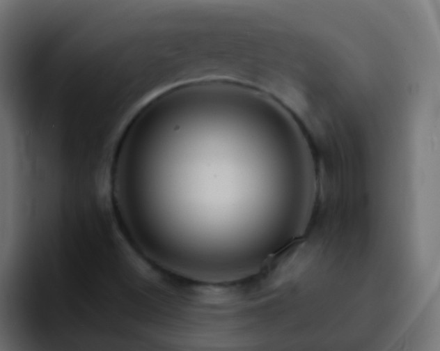 X0000093151500200710031418