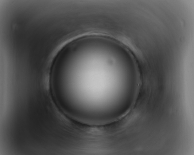 X0000093151504200710031418