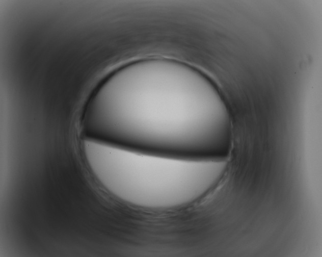 X0000093151507200710031418