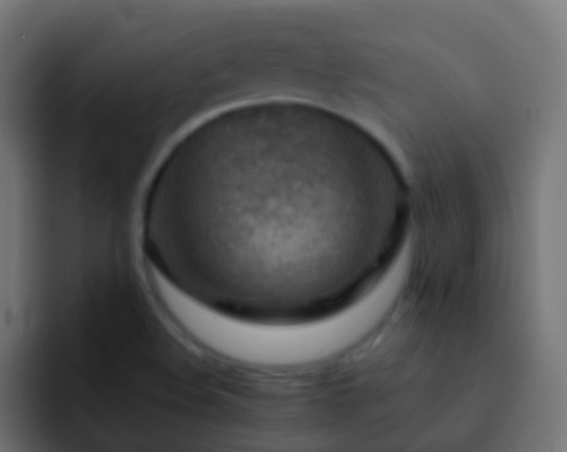 X0000093151508200710031418