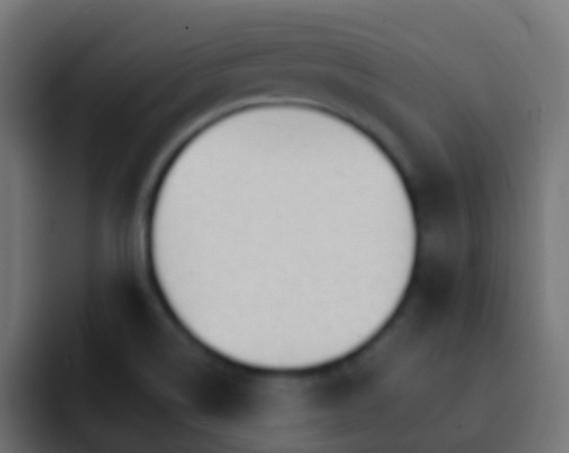 X0000093151514200710031418