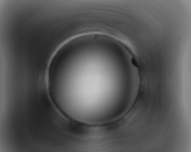 X0000093151516200710031418