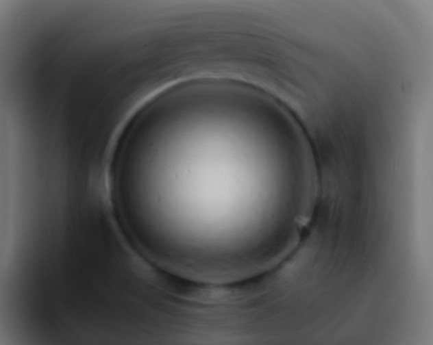 X0000093151517200710031418
