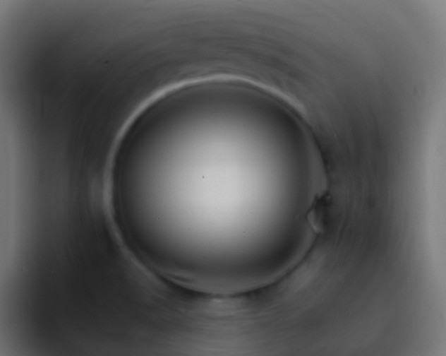 X0000093151518200710031418