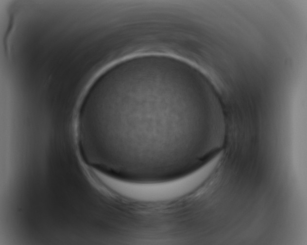 X0000093151519200710031418