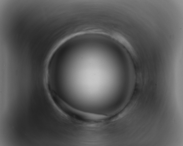 X0000093151520200710031418