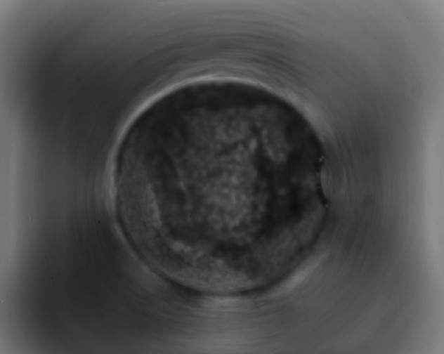 X0000093151522200710031418