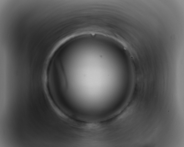 X0000093151523200710031418