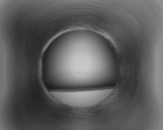 X0000093151524200710031419
