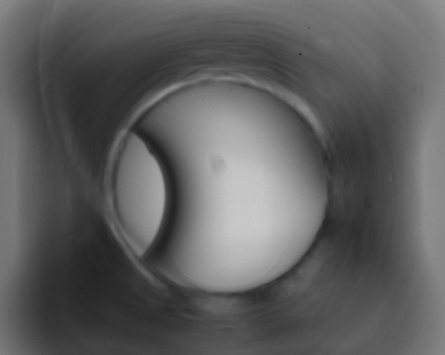 X0000093151525200710031419