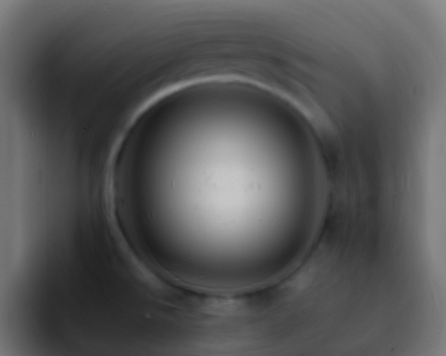 X0000093151526200710031419