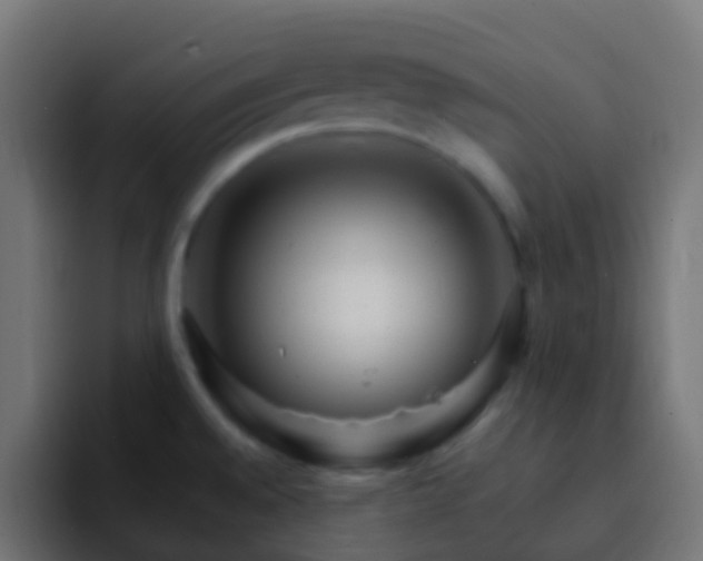X0000093151528200710031419