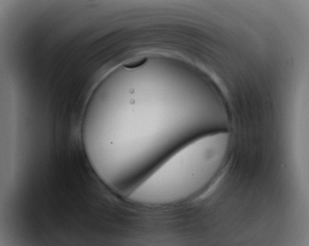 X0000093151529200710031419