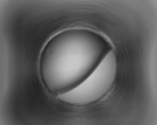 X0000093151530200710031419