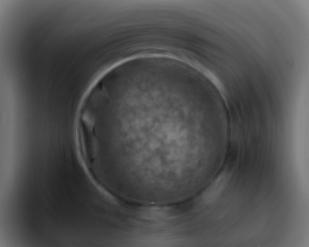 X0000093151533200710031419