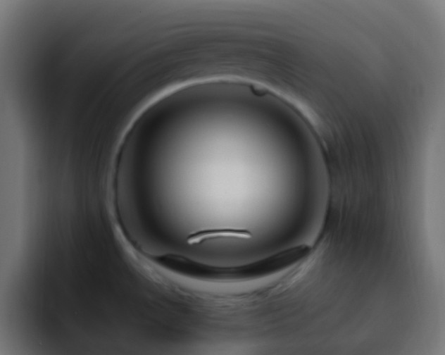 X0000093151534200710031419