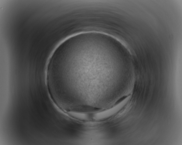 X0000093151535200710031419