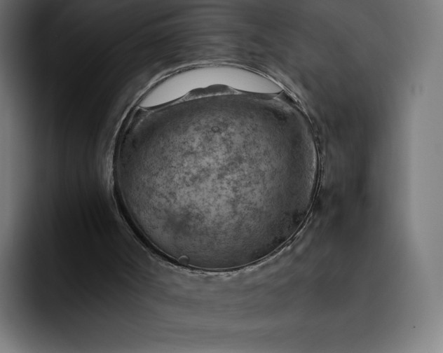 X0000093150002200710101144