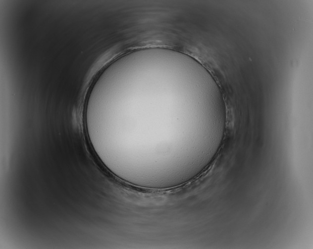 X0000093150004200710101144