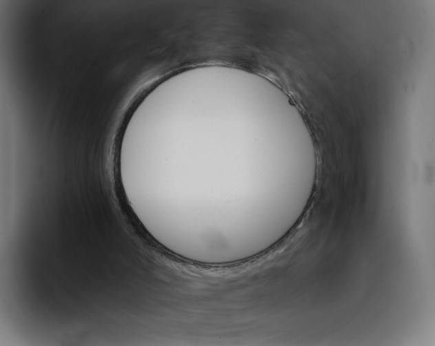 X0000093150006200710101144