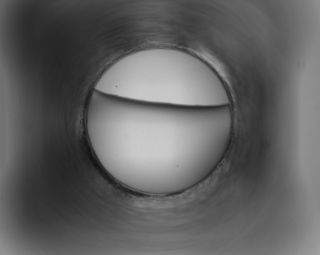 X0000093150009200710101144