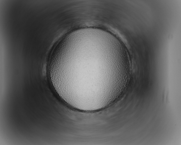 X0000093150010200710101144