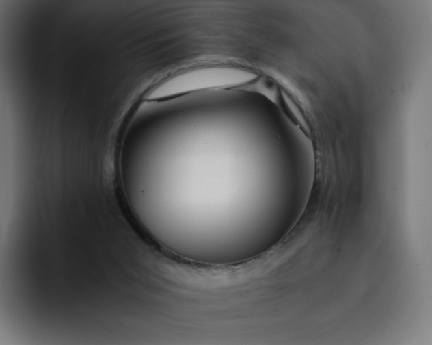 X0000093150015200710101144