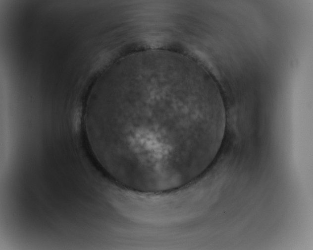 X0000093150018200710101144