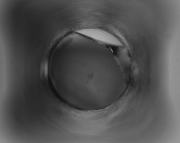 X0000093150019200710101144