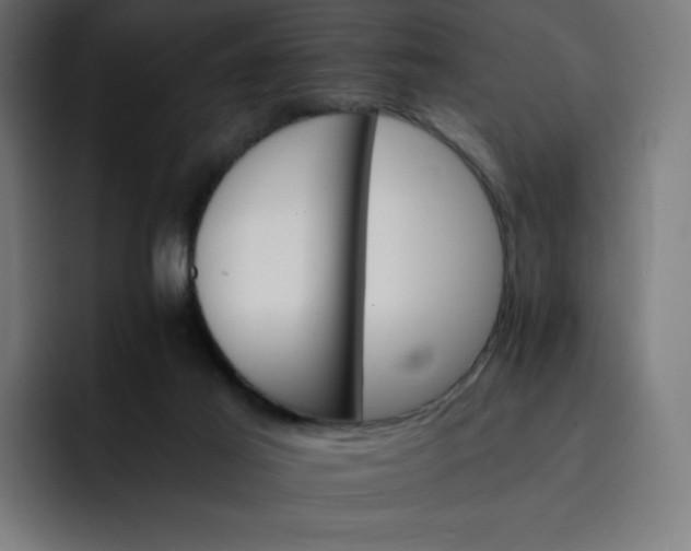 X0000093150021200710101144