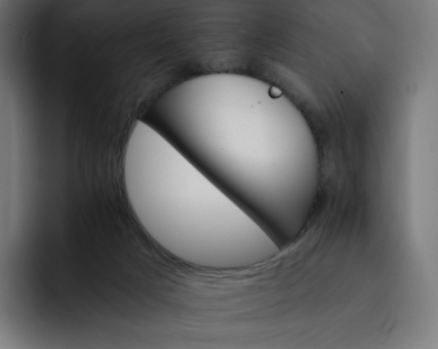 X0000093150025200710101144