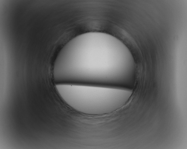 X0000093150029200710101144