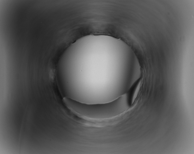 X0000093150033200710101144