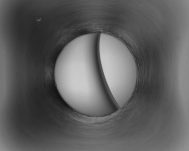 X0000093150035200710101144