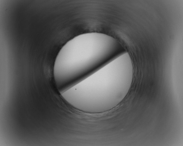 X0000093150039200710101144