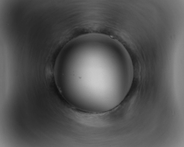 X0000093150040200710101144