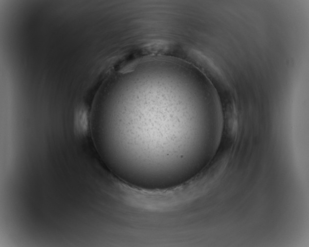 X0000093150042200710101144