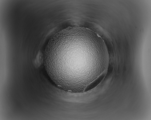 X0000093150043200710101144