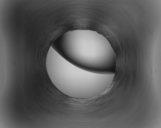 X0000093150045200710101144